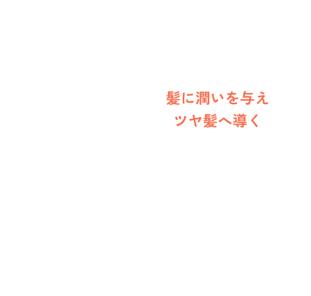 髪に潤いを与え、​ツヤ髪へ導く